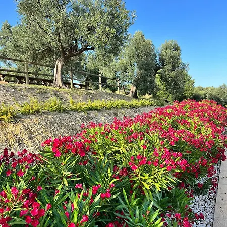 Gospodarstwo agroturystyczne Agrirelais Collelago Massignano